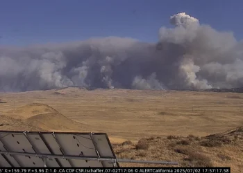 En menos de 24 horas el fuego consumió más de 14.000 hectáreas de vegetación/Alert California